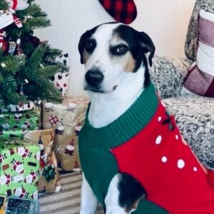 Meet your Posher, Krystyna